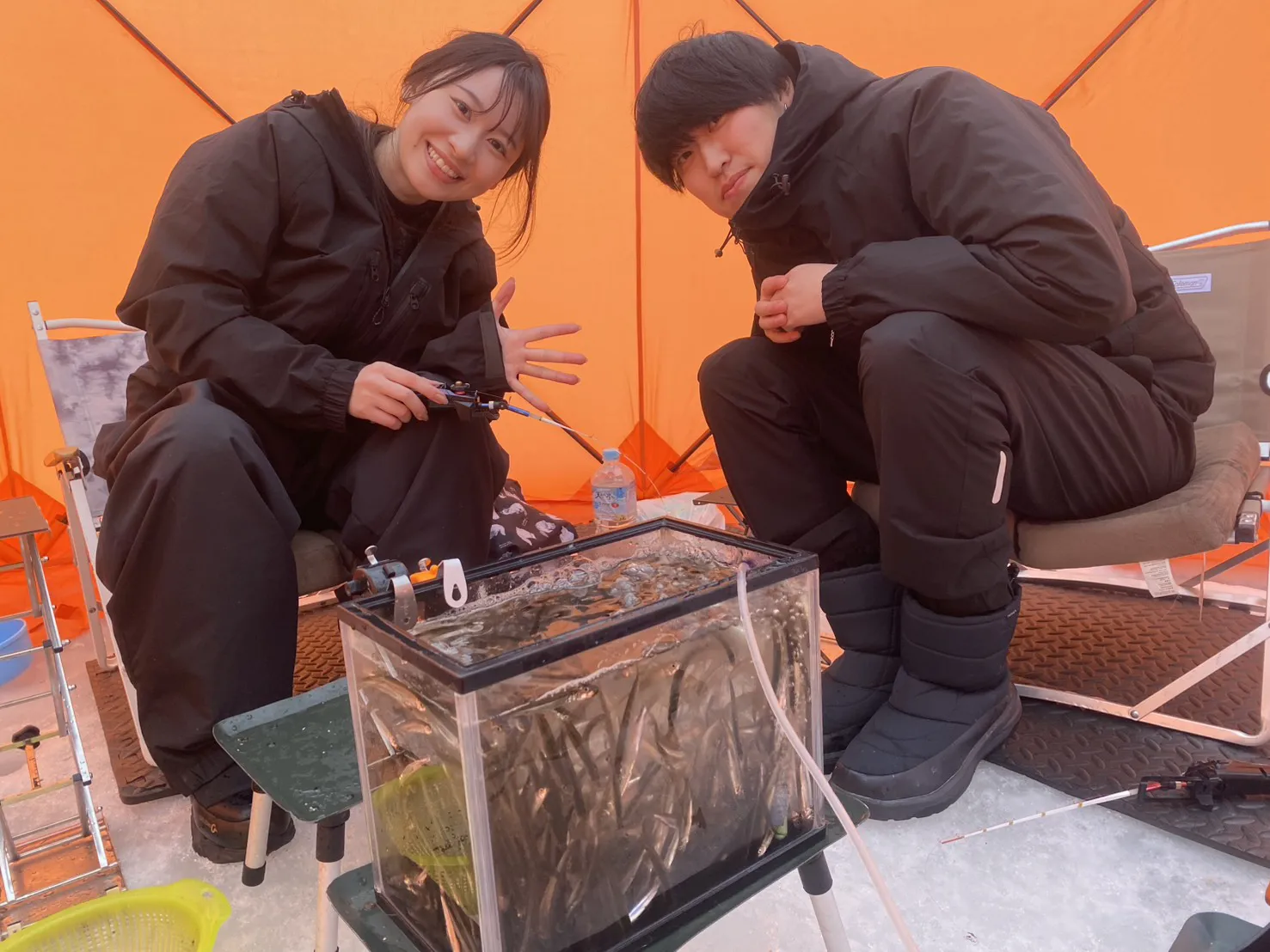 テント内でワカサギ釣りを楽しむ参加者