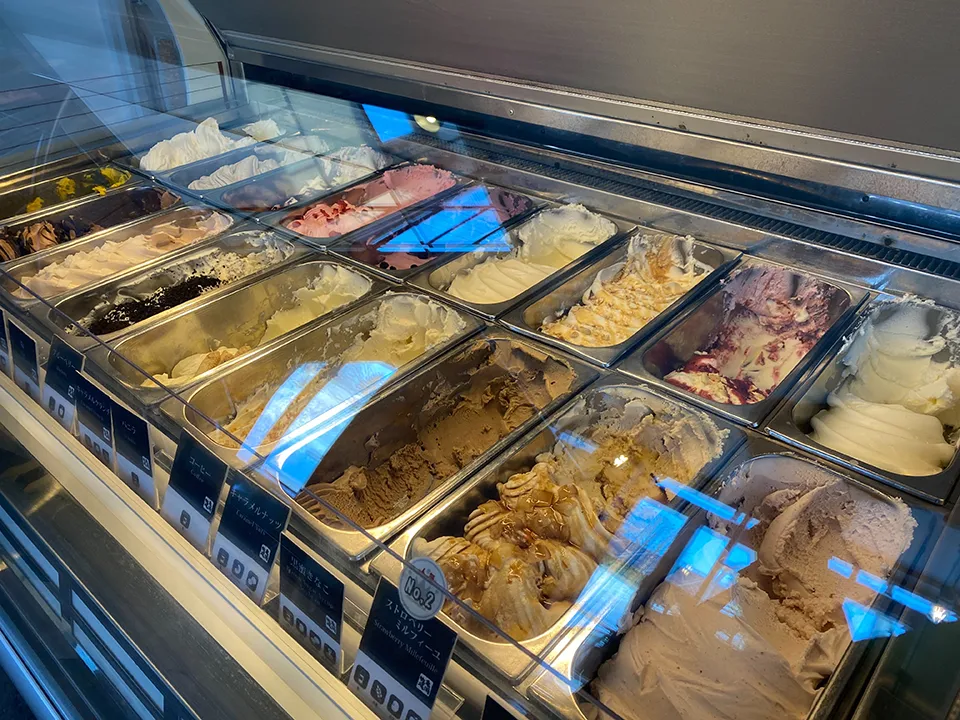 ワカサギ天ぷらと温泉を楽しむツアー