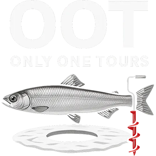 Only One Tours ロゴ